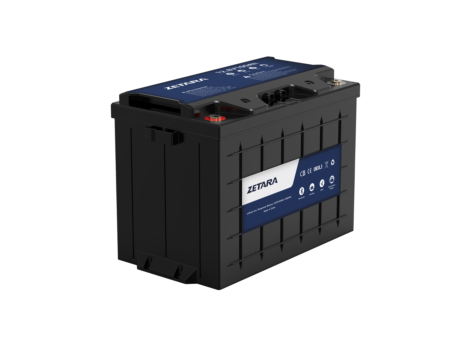 Multipurpose Battery